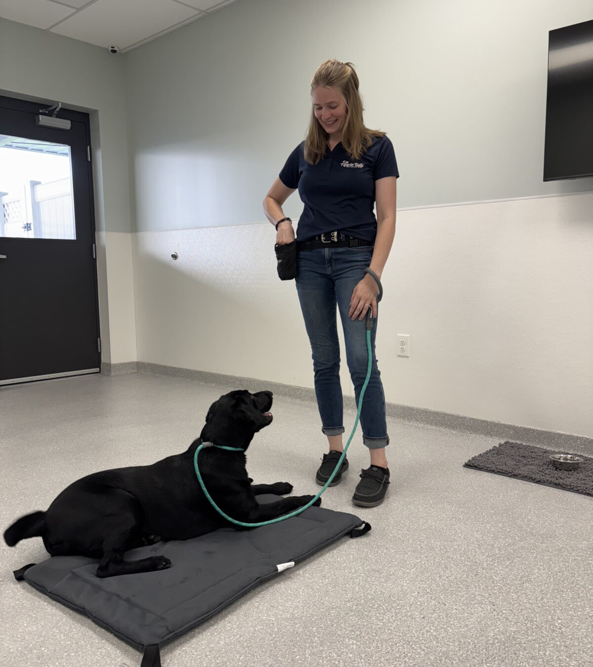 trainer training good dog in a white room