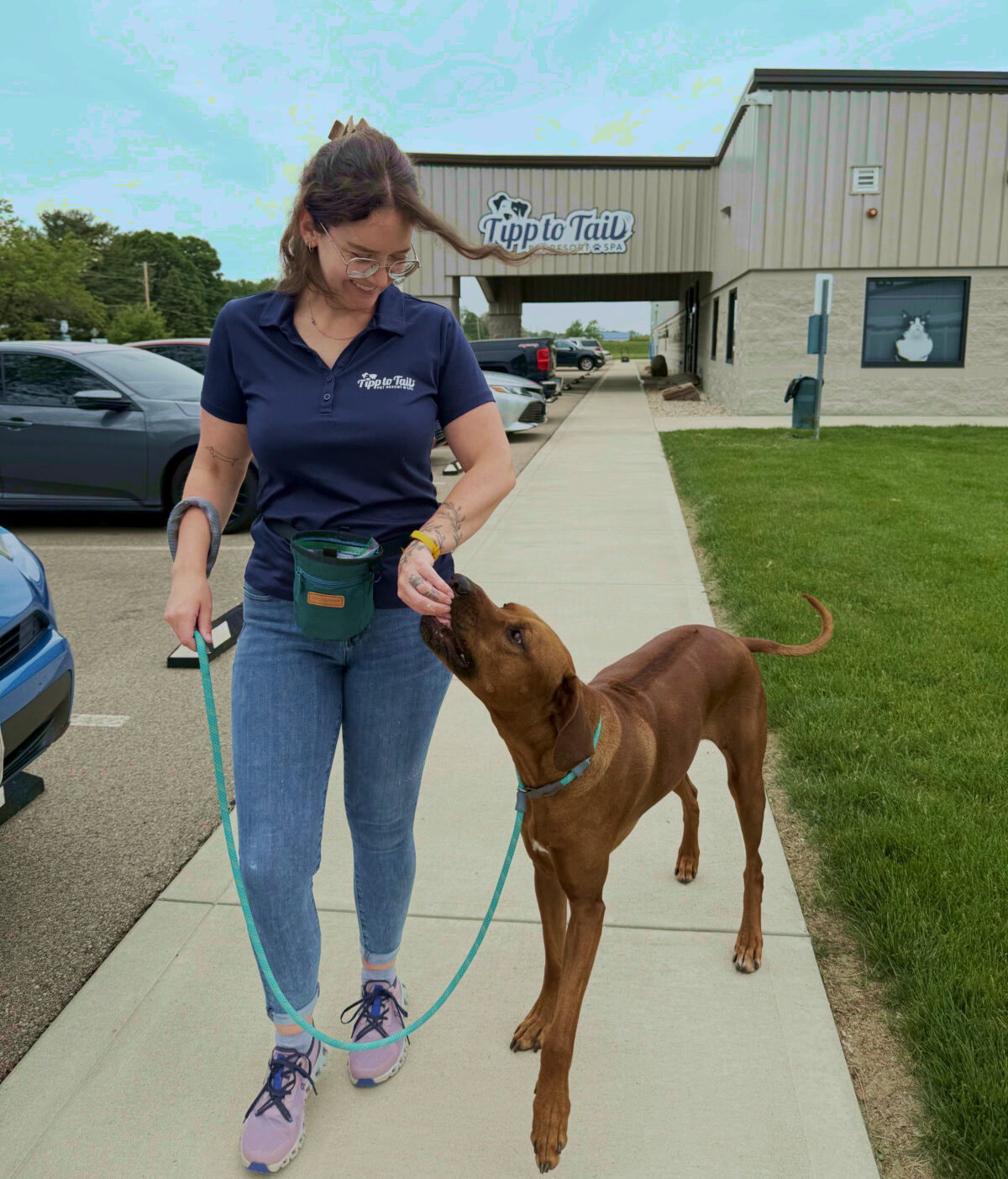 trainer walking with good dog on sidewalk