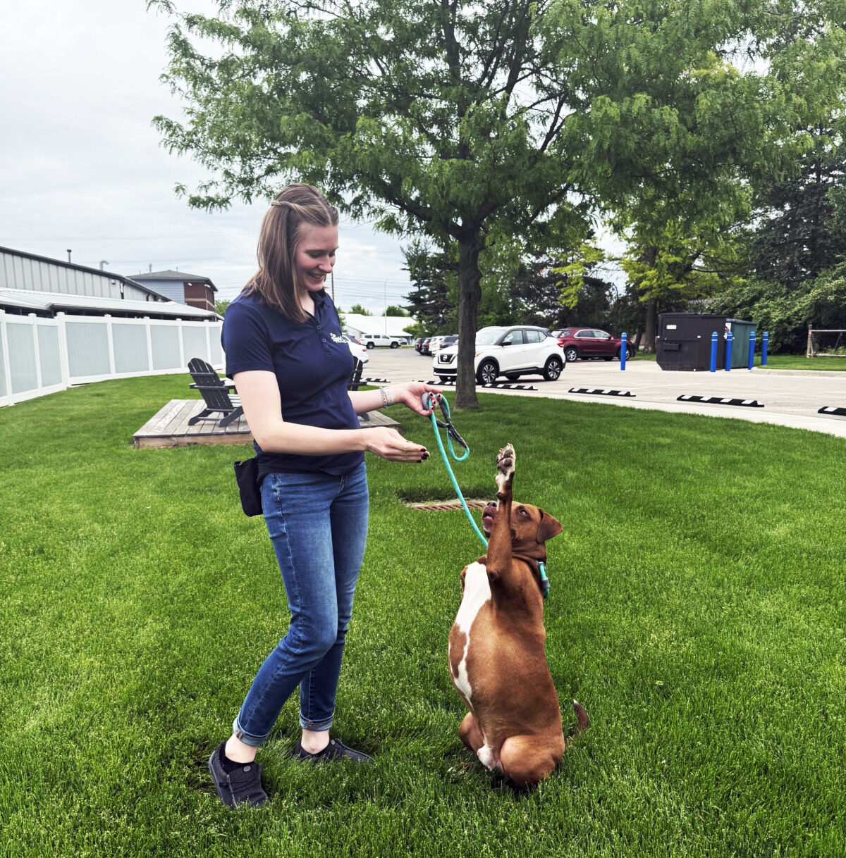 trainer training good dog on grass lawn